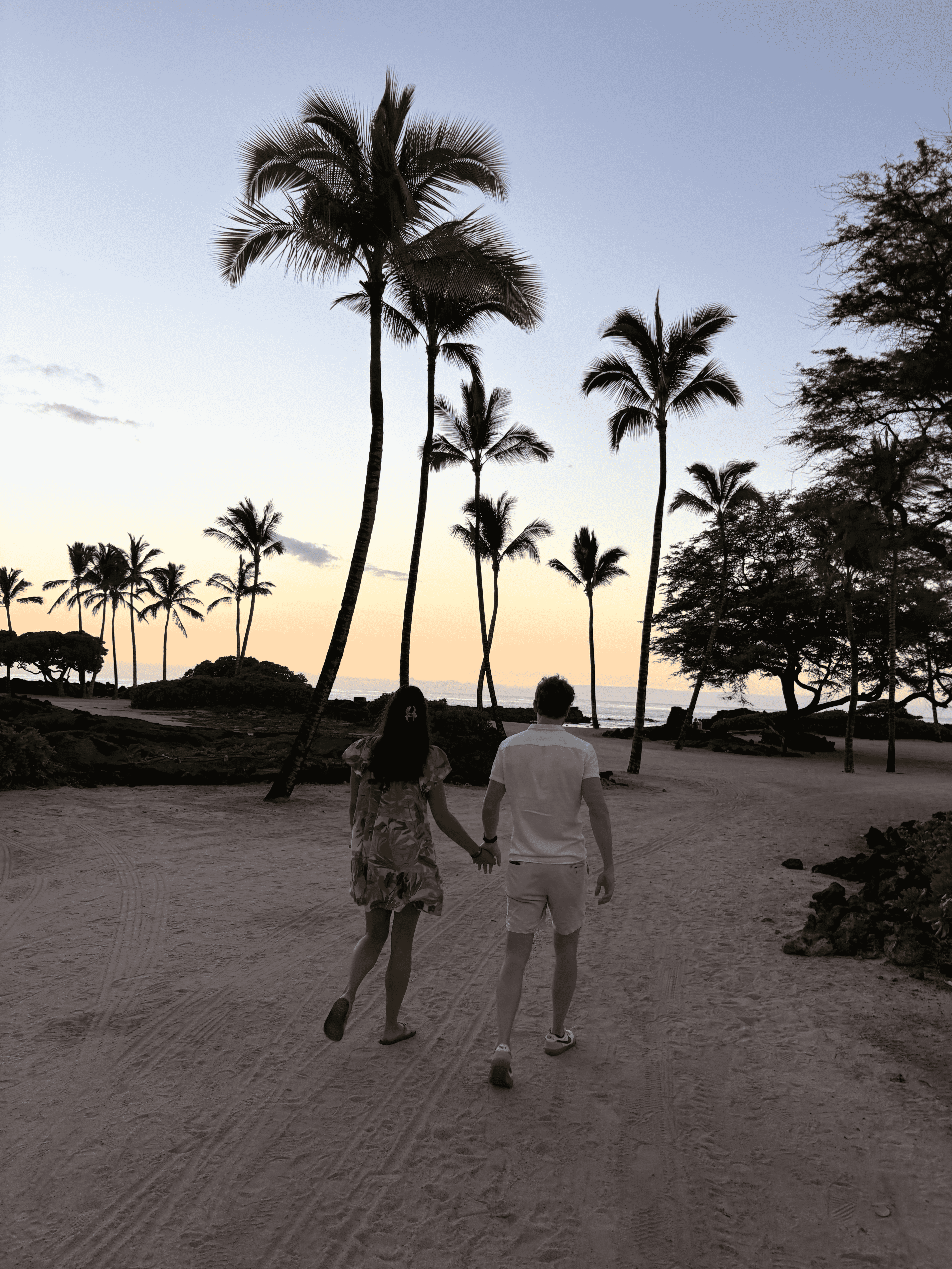 Hands in Hawaii